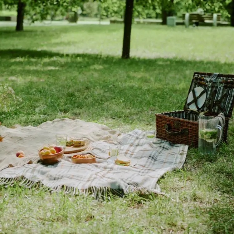Gathering - Picnic - Example
