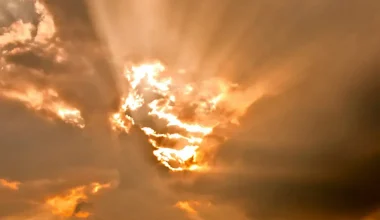 Testimony Highlight 2